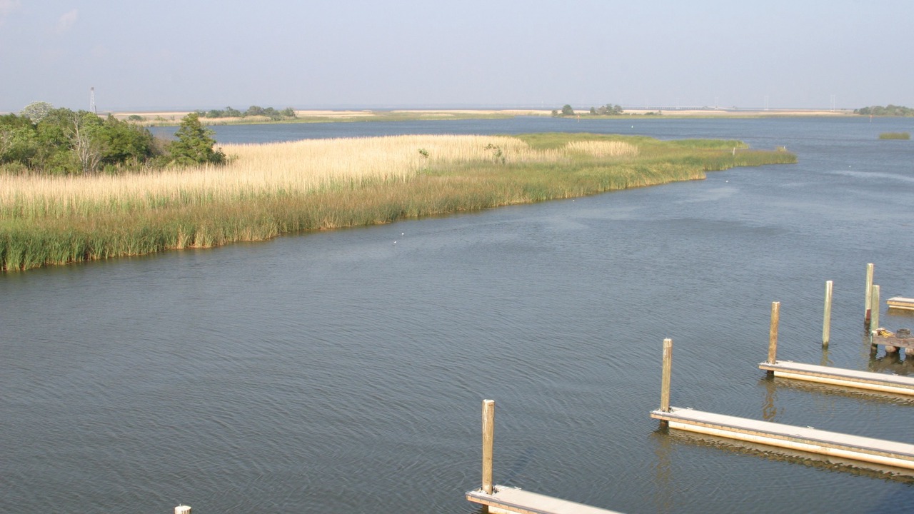Photo of Outdoor in Historic Downtown Apalachicola