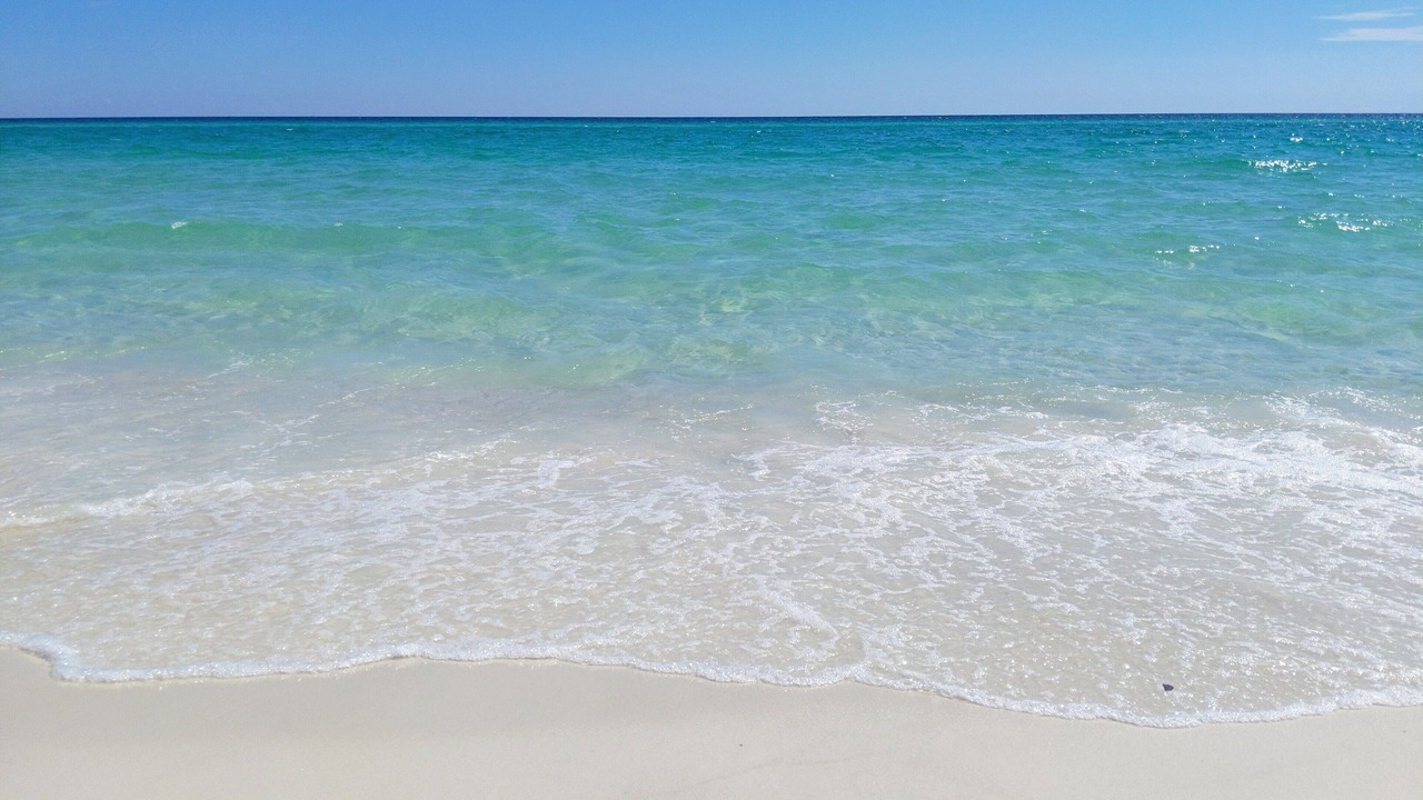 Photo of Others in Kiska Beach