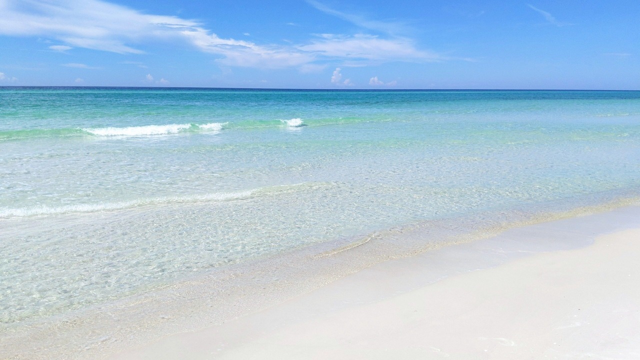 Photo of Others in Kiska Beach