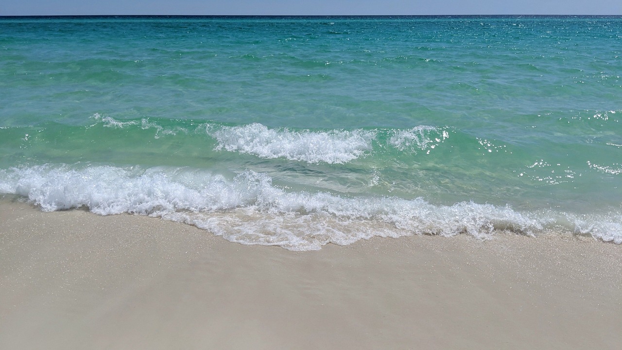 Photo of Others in Kiska Beach