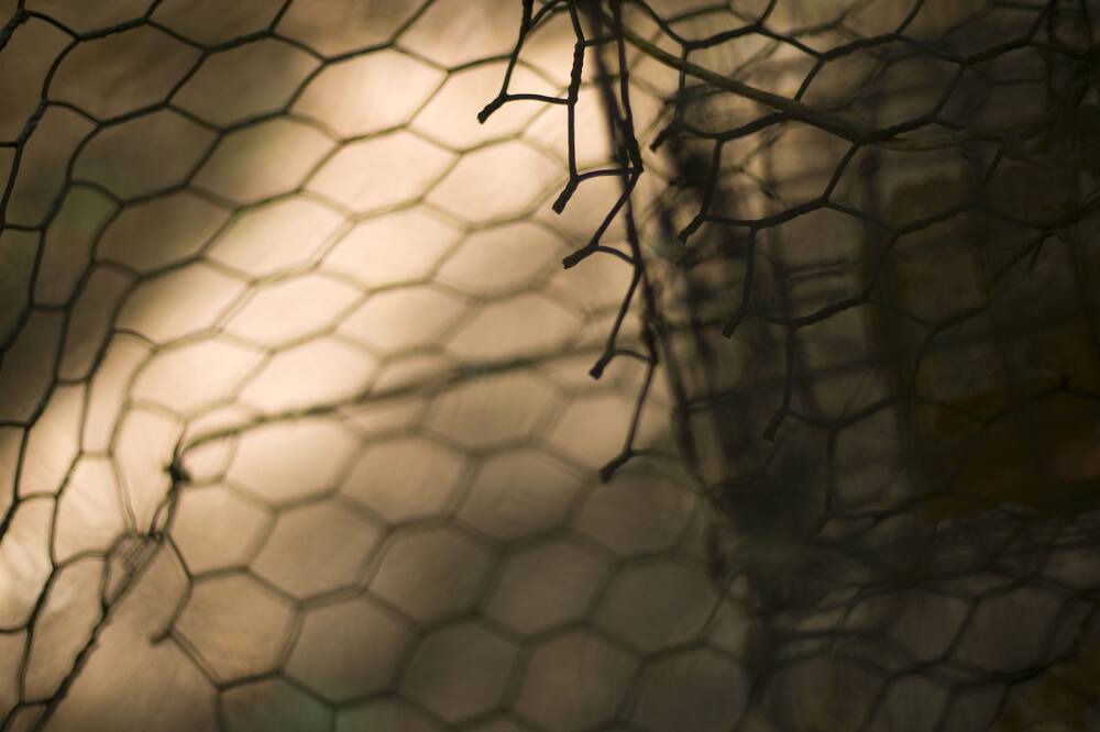 Photo of Outdoor in Lottie