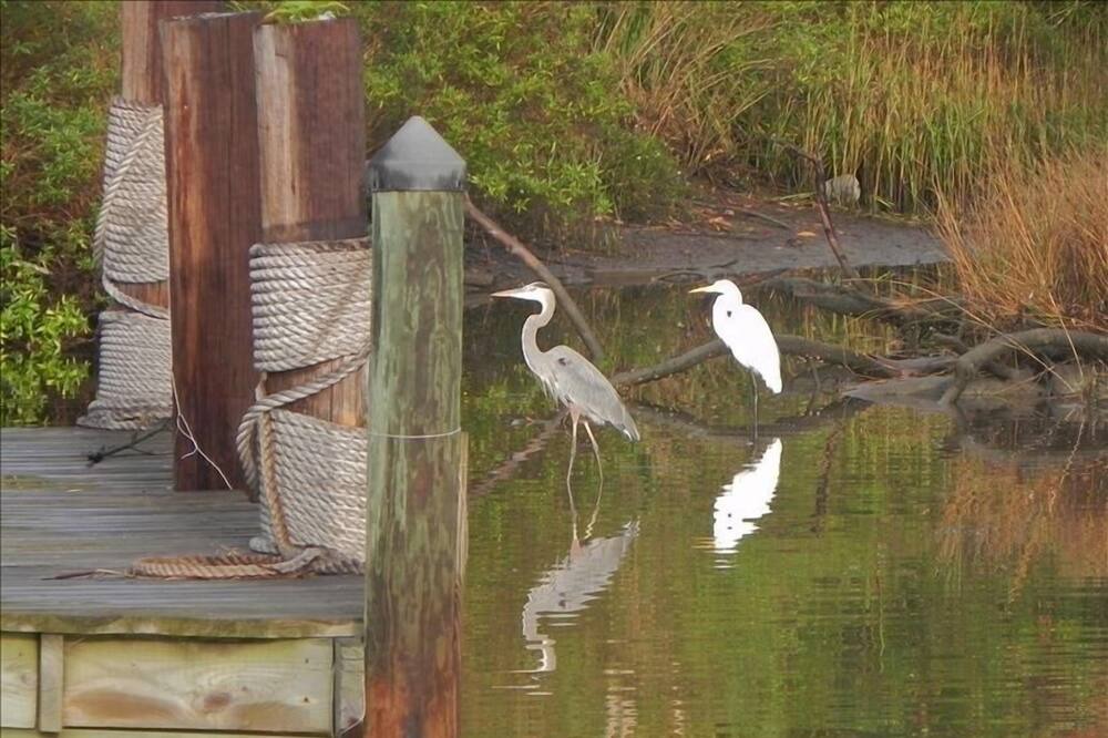 Photo of Others in Biloxi