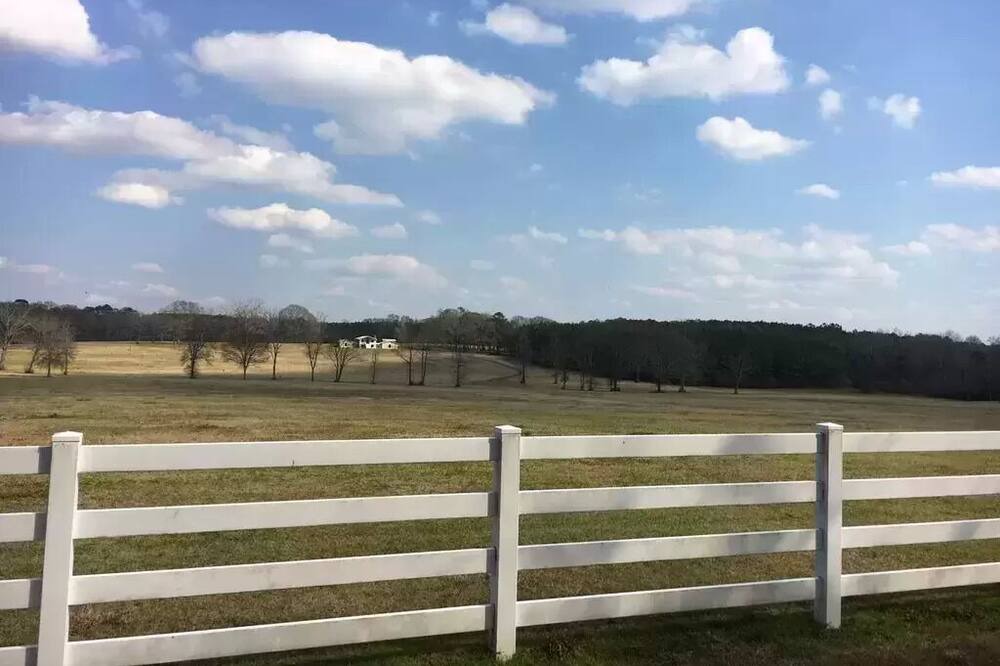 Photo of Outdoor in Magnolia