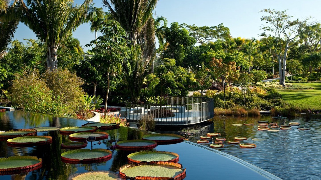 Photo of Outdoor in East Naples