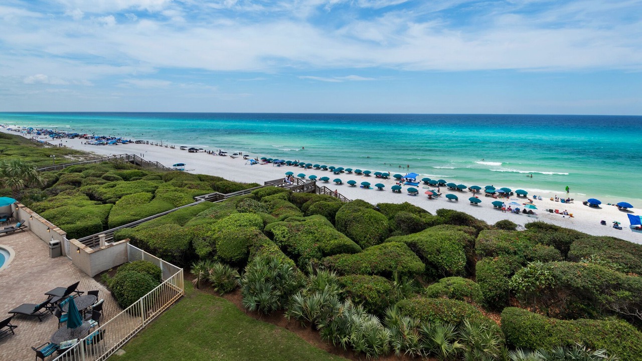 Photo of Others in Seagrove Beach