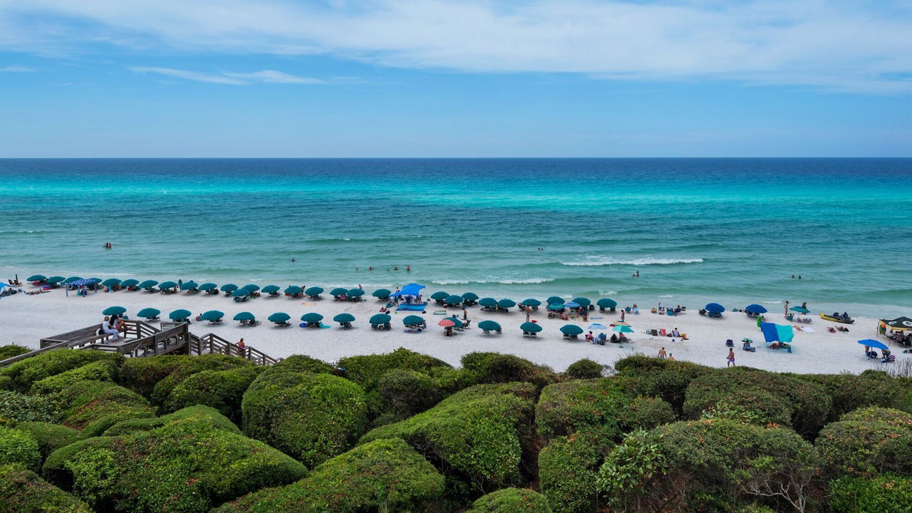 Photo of Others in Seagrove Beach