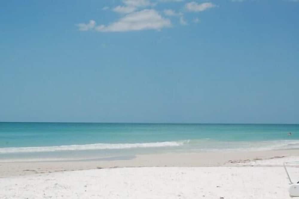 Photo of Outdoor in Siesta Key