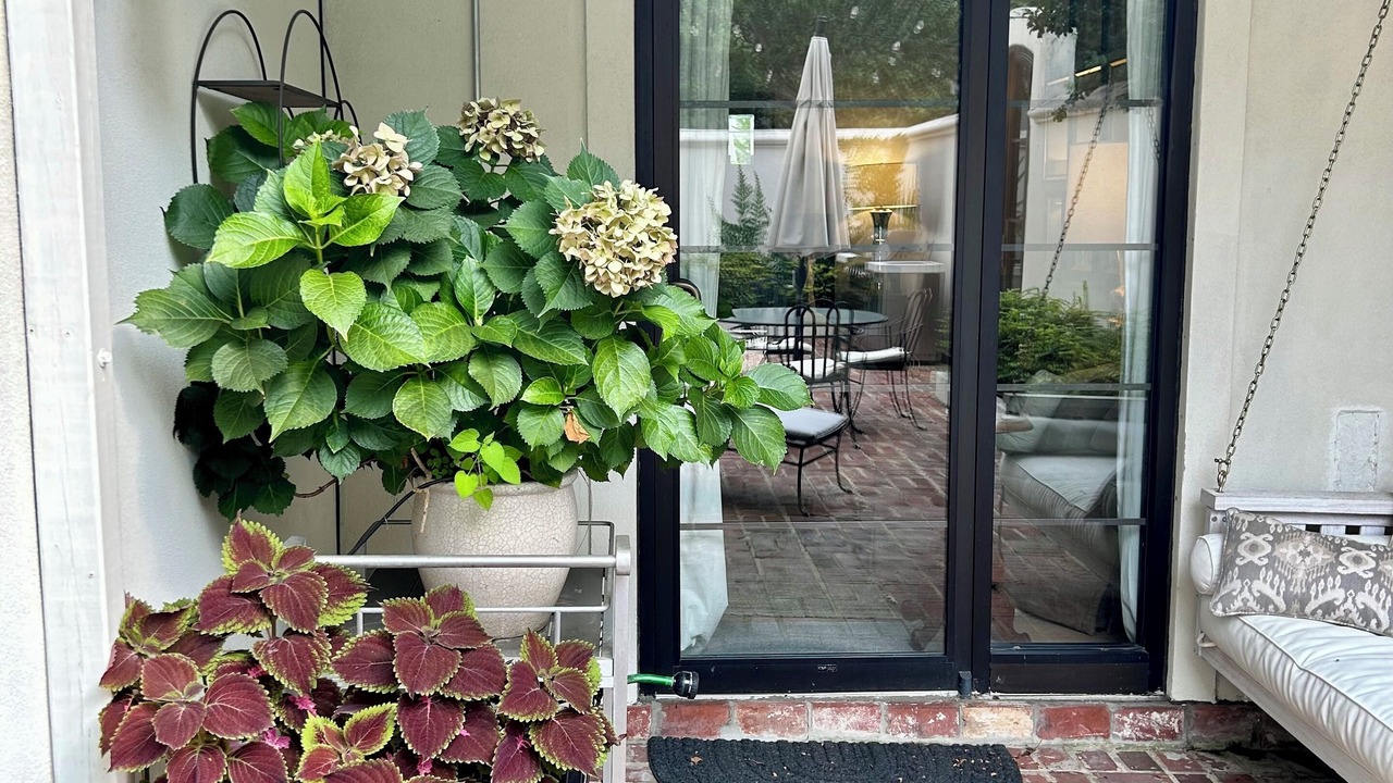 Photo of Outdoor in Fondren