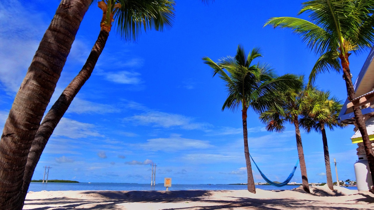 Photo of Others in Key West