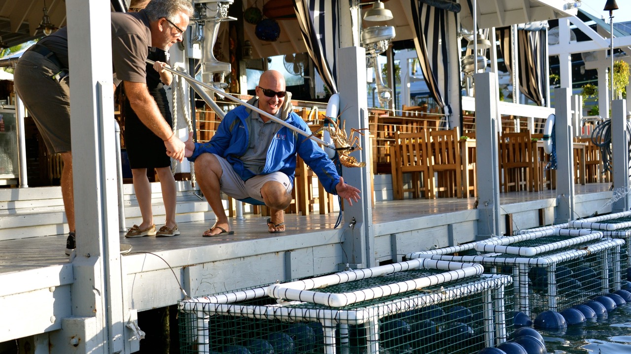 Photo of Outdoor in Key West