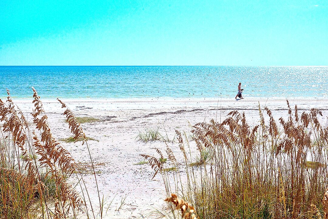 Photo of Others in Bonita Springs