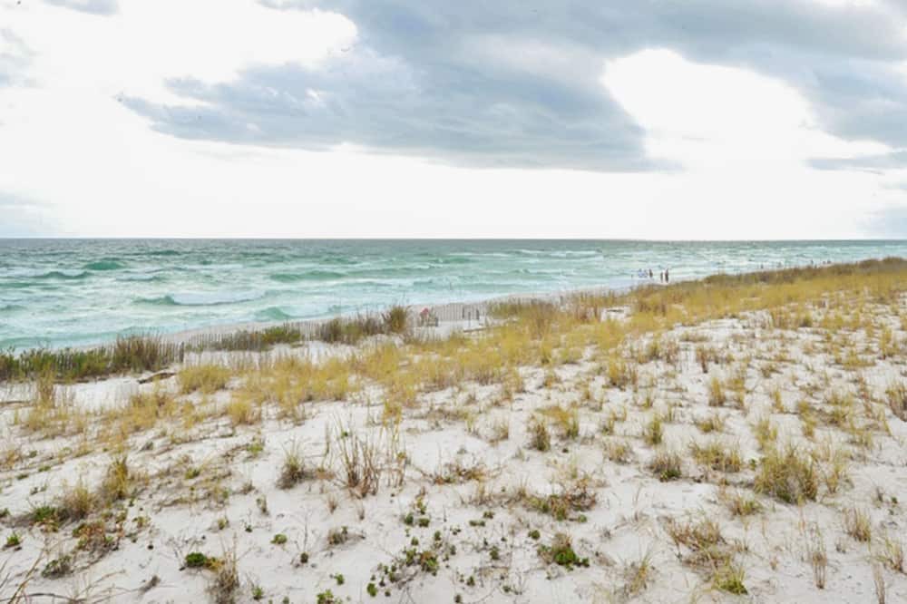 Photo of Others in Navarre Beach