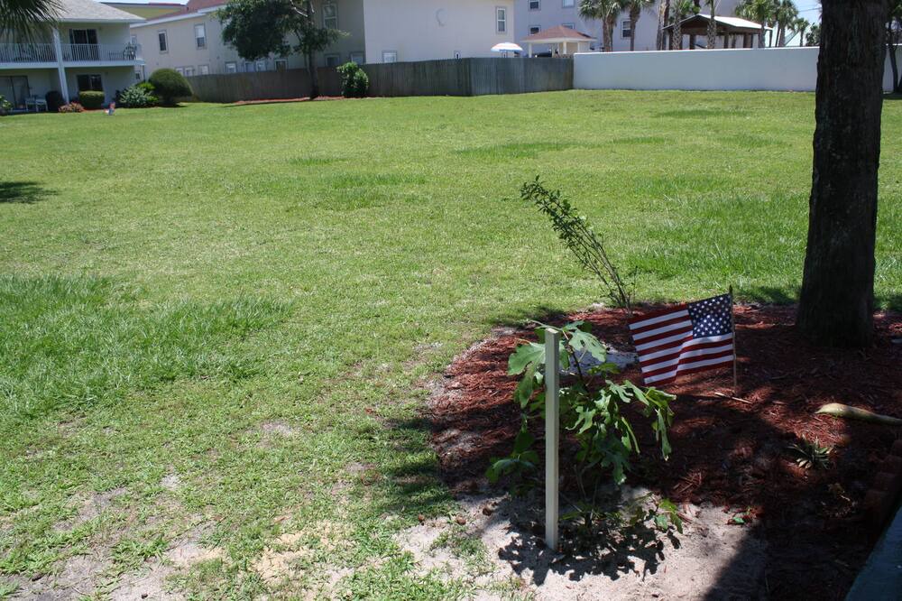 Photo of Outdoor in Miramar Beach