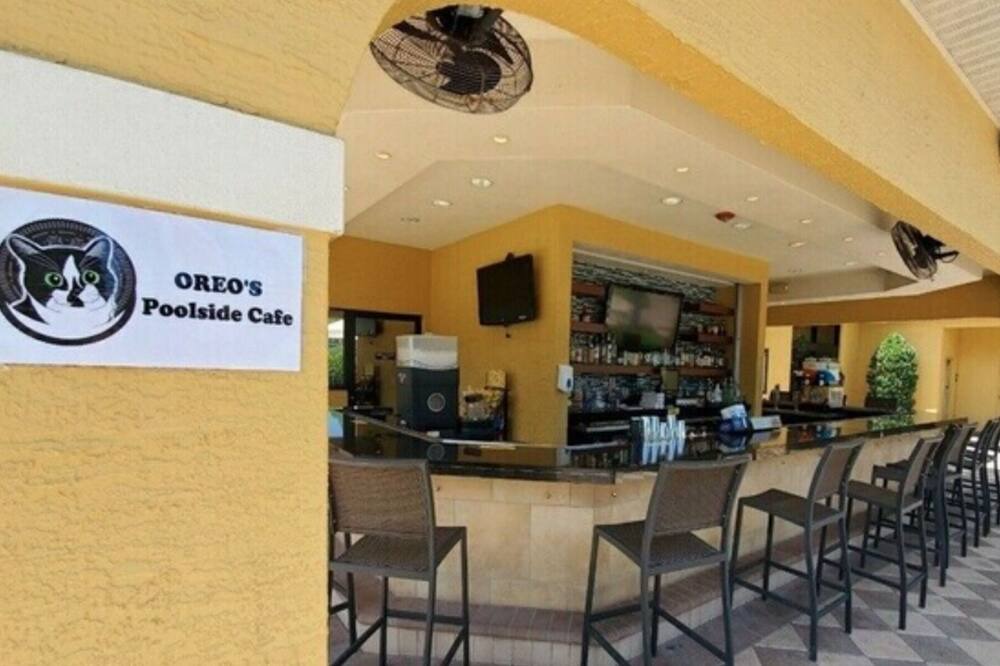 Photo of Others in Kissimmee