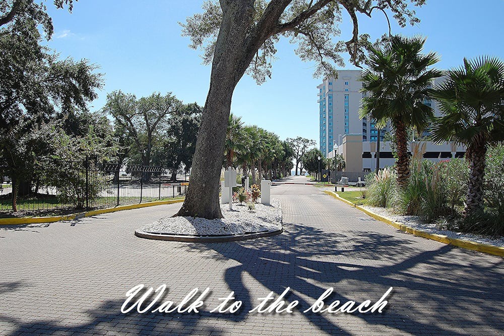 Photo of Others in Gulfport