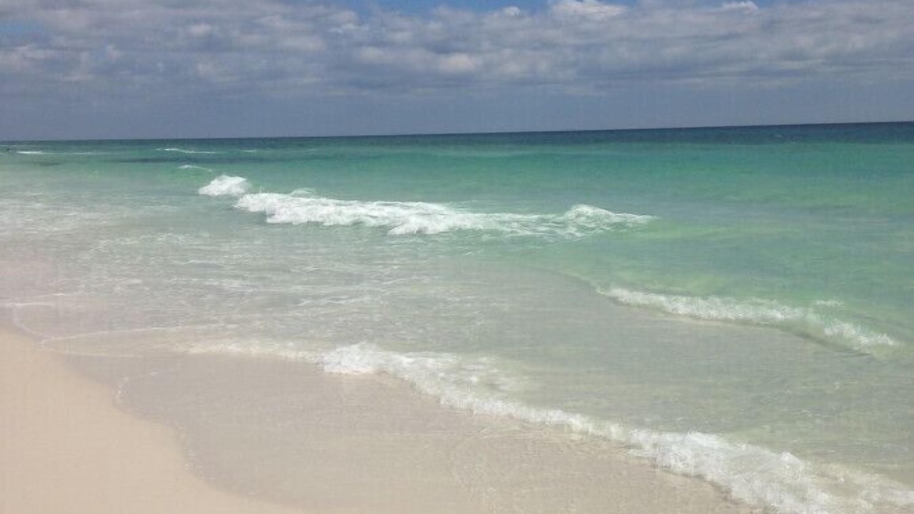 Photo of Others in Sugarwood Beach