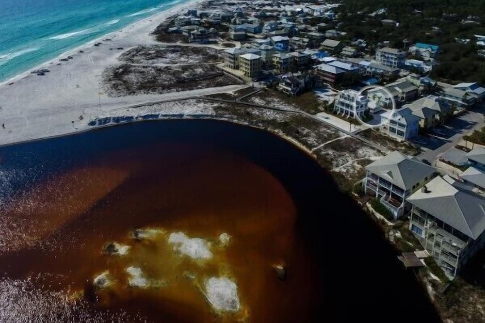 Photo of Others in Grayton Beach