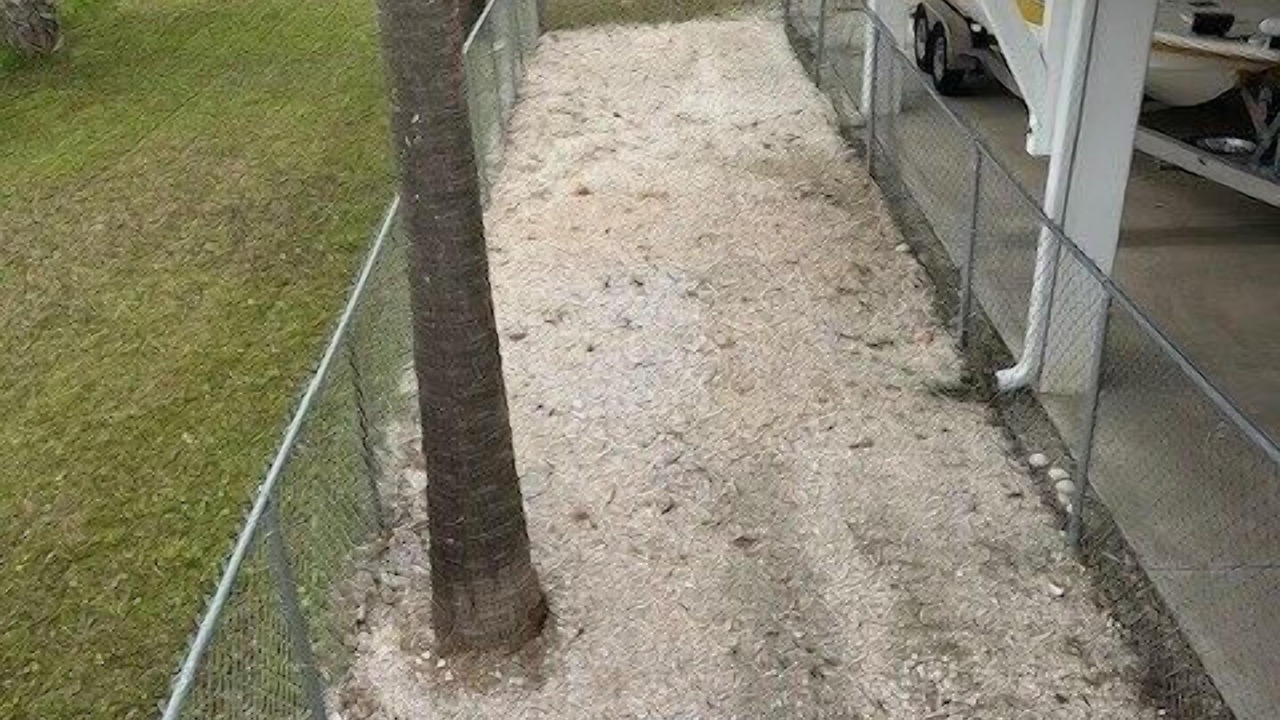 Photo of Outdoor in Port St. Joe