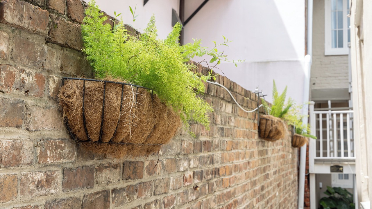 Photo of Outdoor in French Quarter