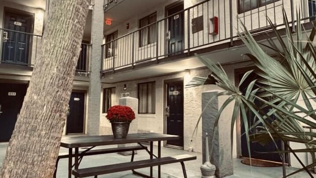 Photo of Outdoor in Tallahassee