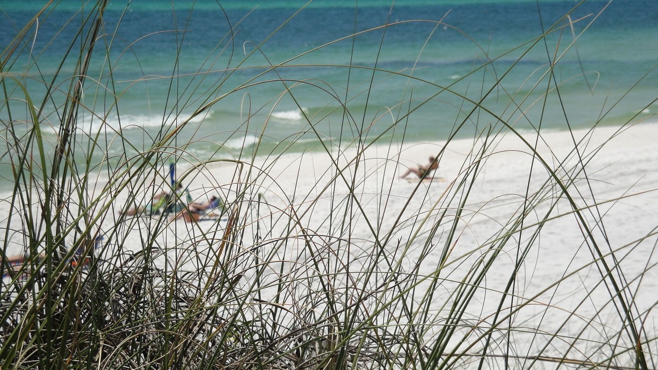 Photo of Others in Santa Rosa Beach