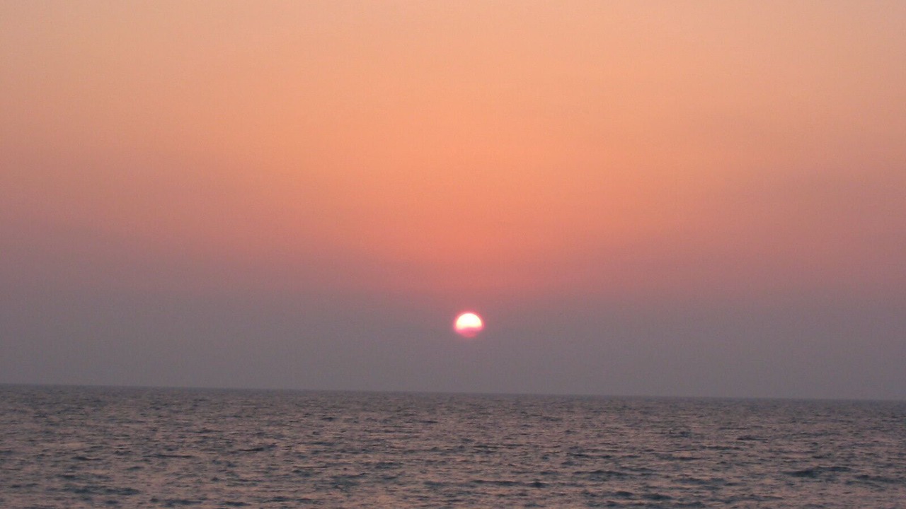 Photo of Others in Siesta Key