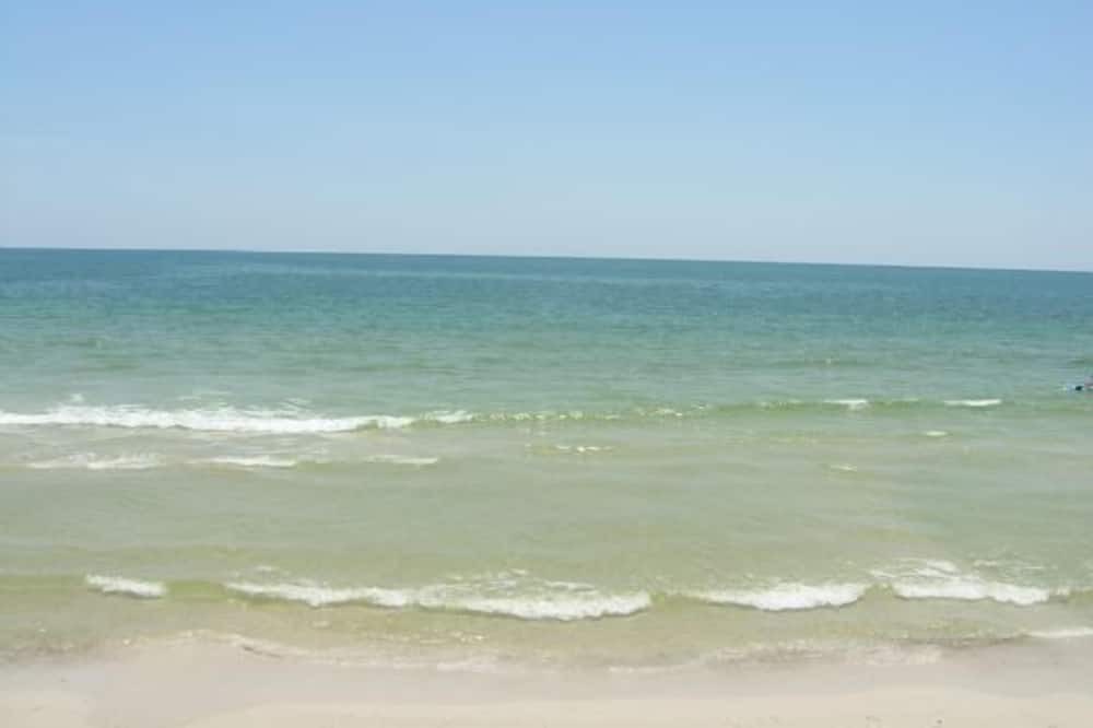 Photo of Others in Cape San Blas