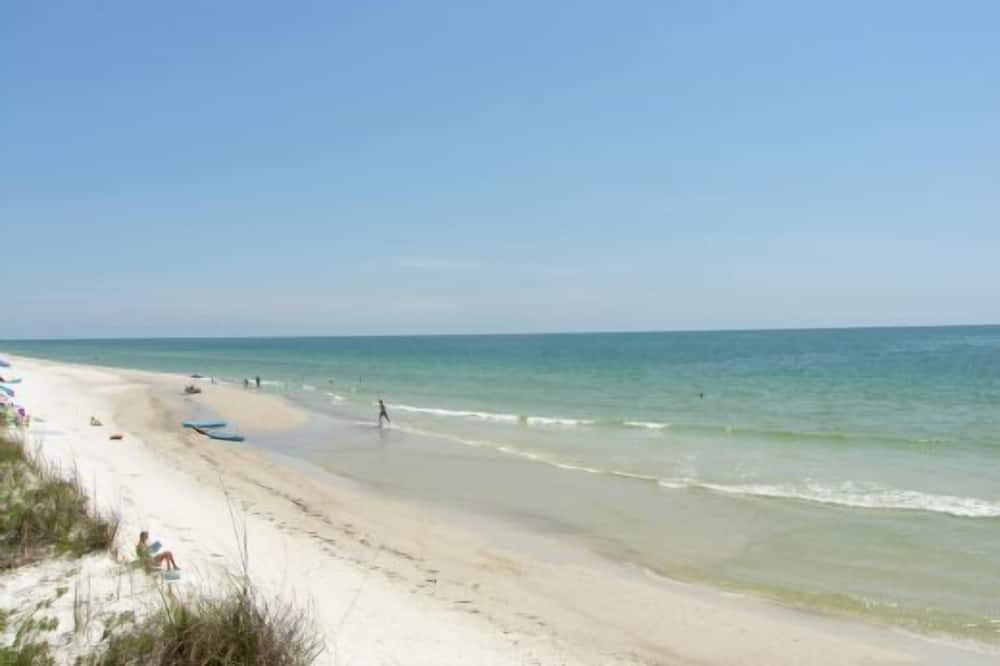 Photo of Others in Cape San Blas