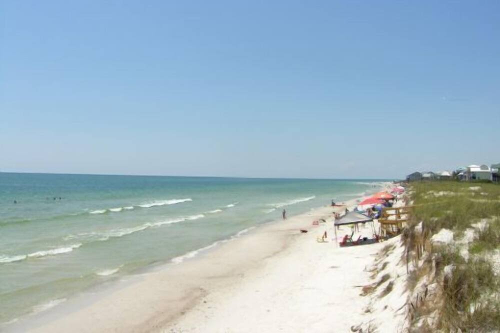 Photo of Others in Cape San Blas