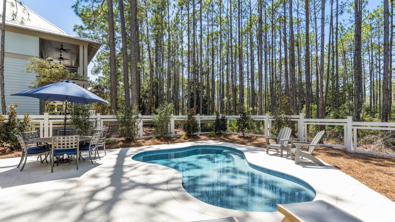 Photo of Outdoor in Forest District