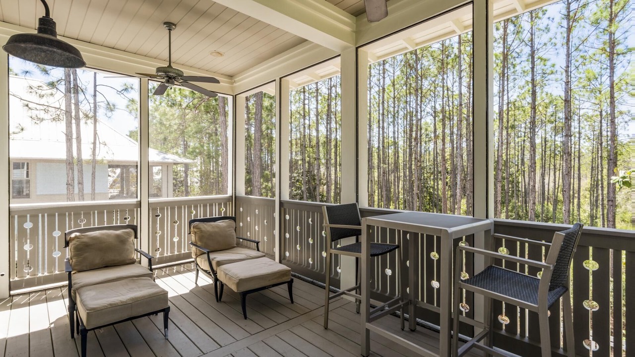 Photo of Outdoor in Forest District