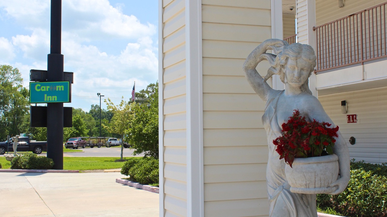Photo of Outdoor in Denham Springs