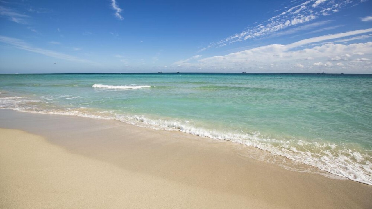 Photo of Others in Bonita Springs