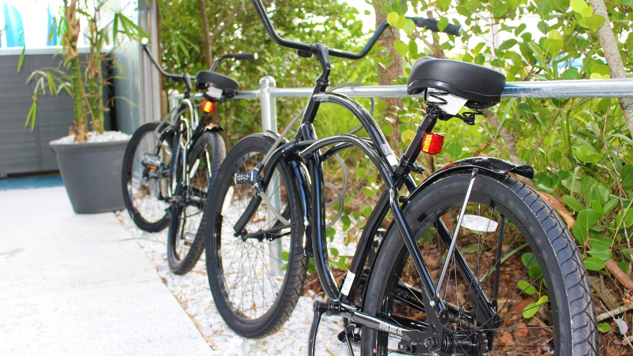 Photo of Outdoor in Bonita Springs