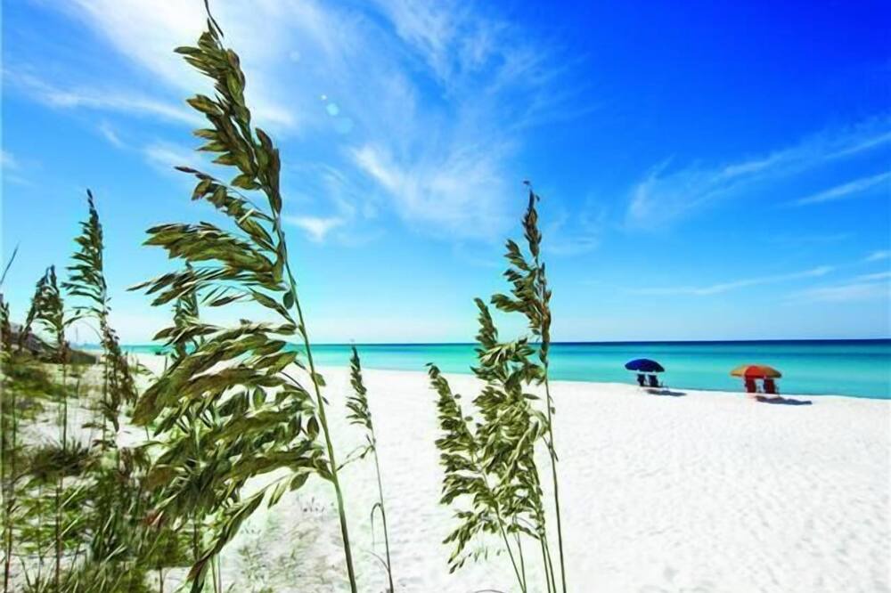 Photo of Others in Santa Rosa Beach