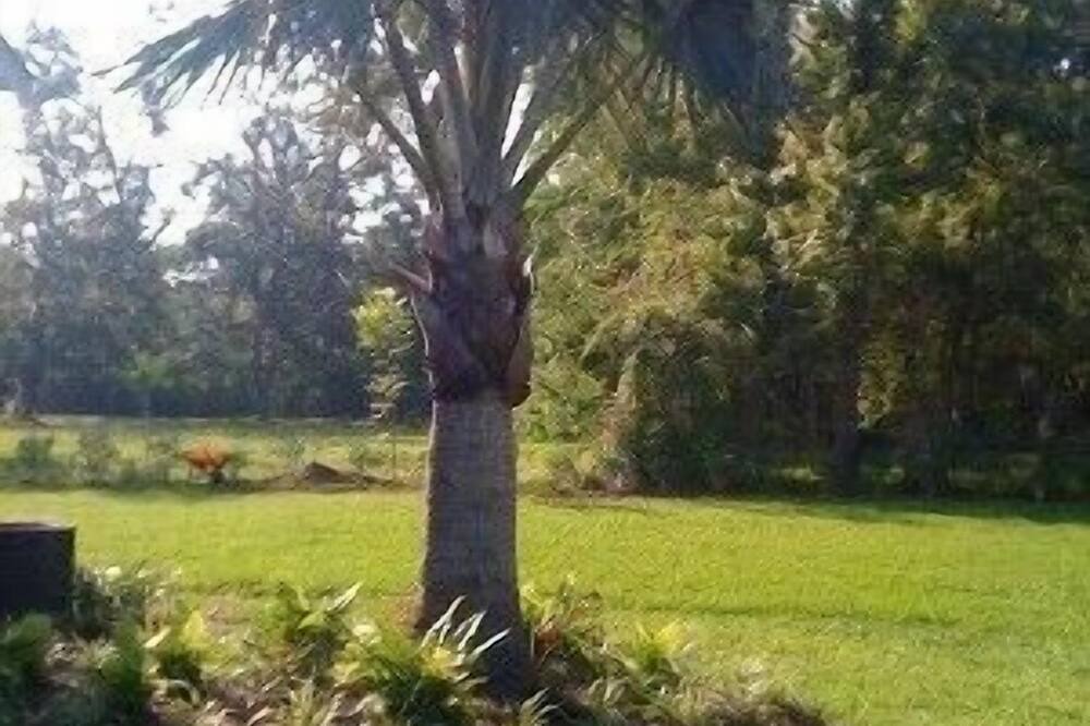 Photo of Others in Mandeville