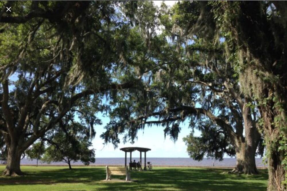 Photo of Others in Mandeville