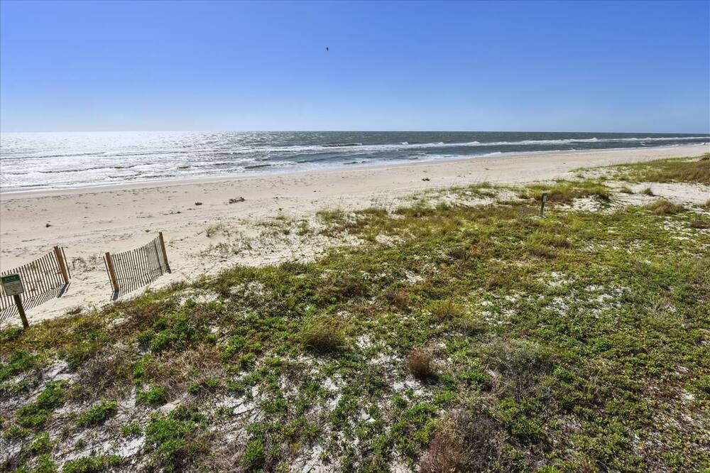 Photo of Others in St. George Island