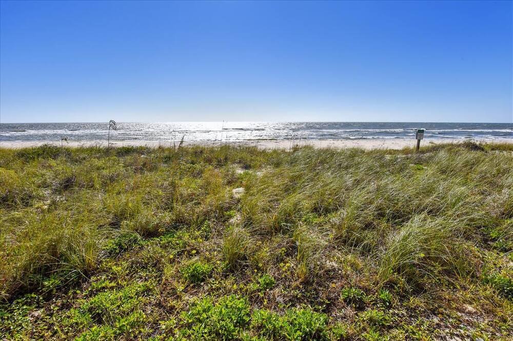 Photo of Others in St. George Island