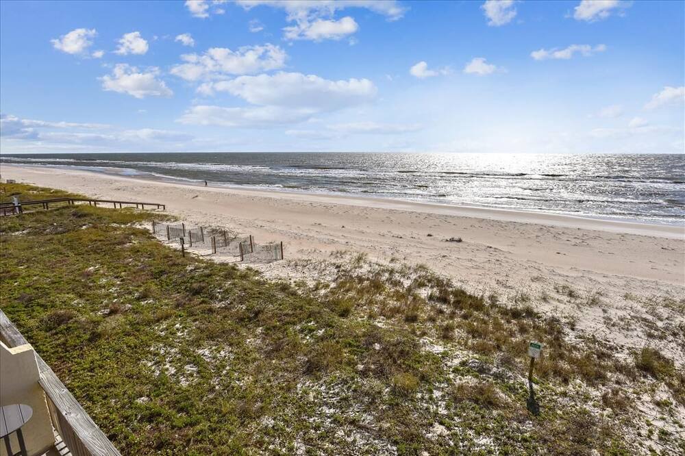 Photo of Others in St. George Island