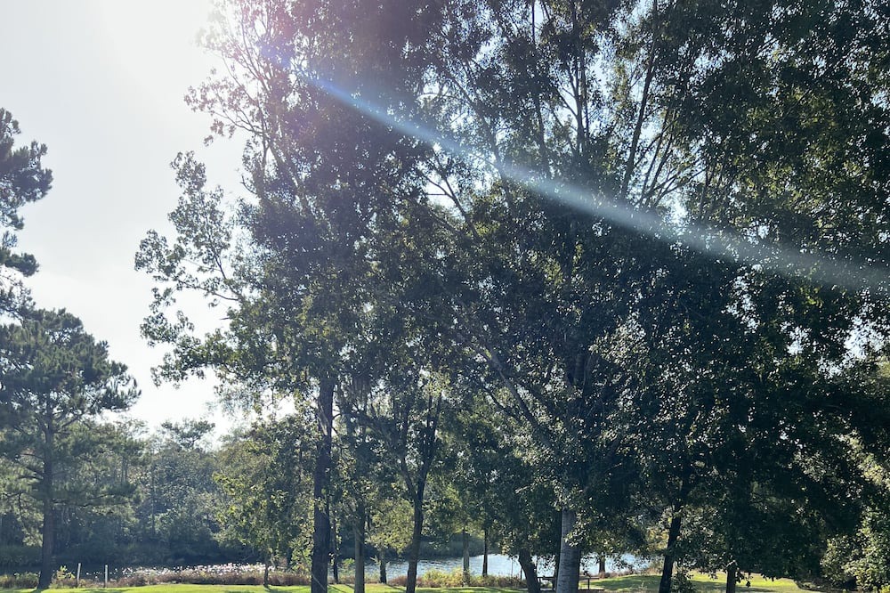 Photo of Outdoor in Biloxi