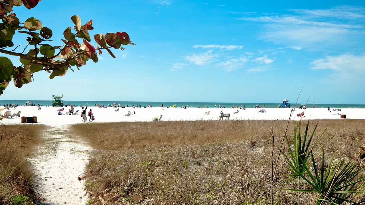 Photo of Others in Sarasota