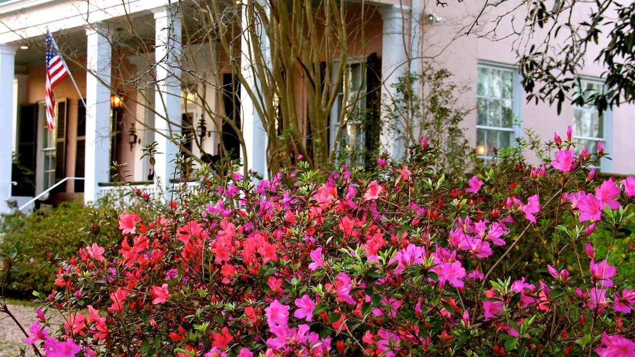 Photo of Outdoor in Natchez