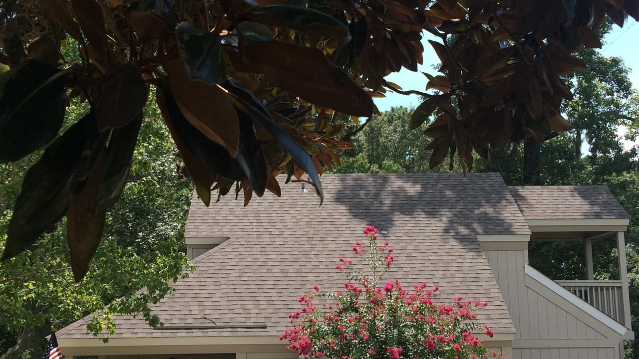 Photo of Outdoor in Negreet