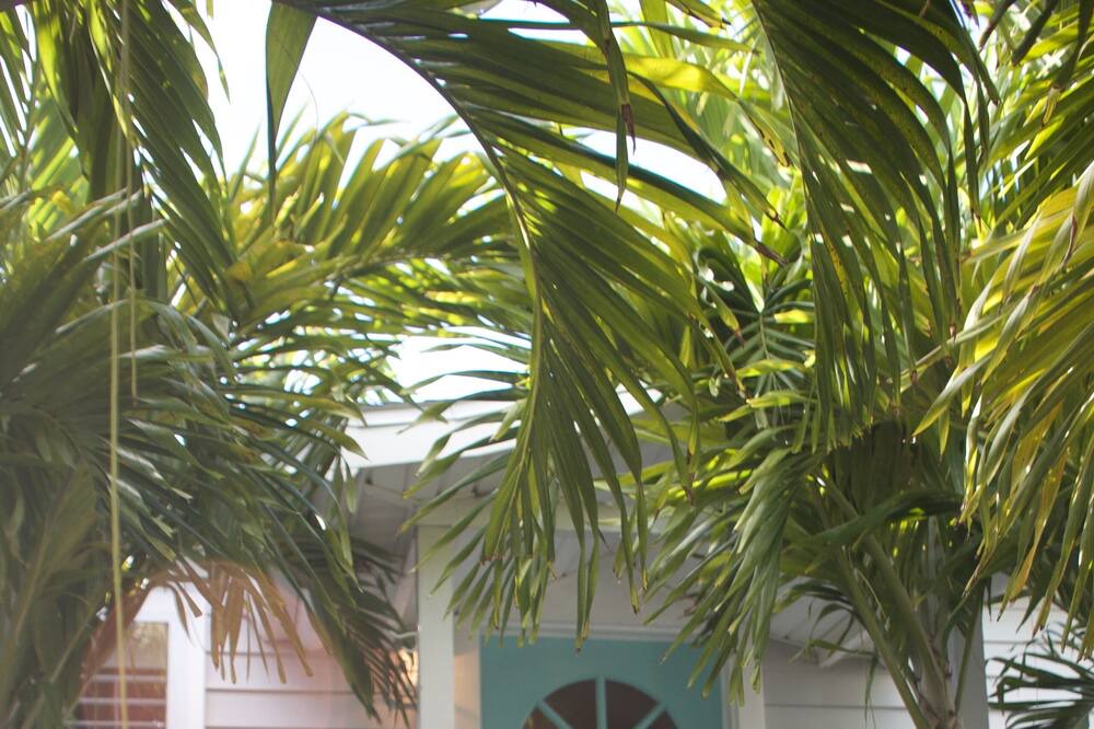Photo of Outdoor in Treasure Island