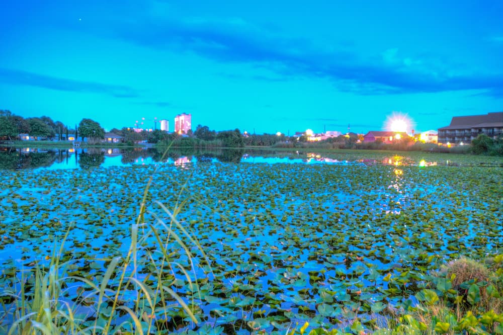 Photo of Outdoor in El Centro Beach