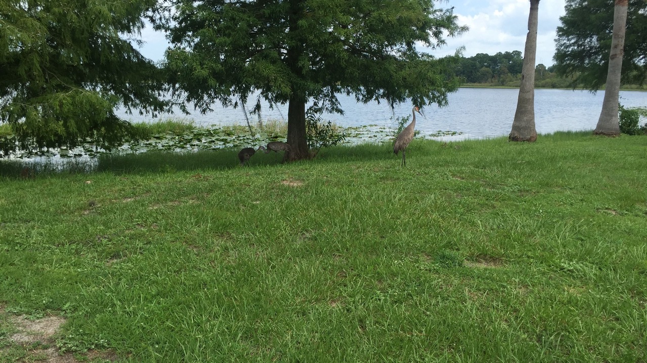 Photo of Others in Sanford