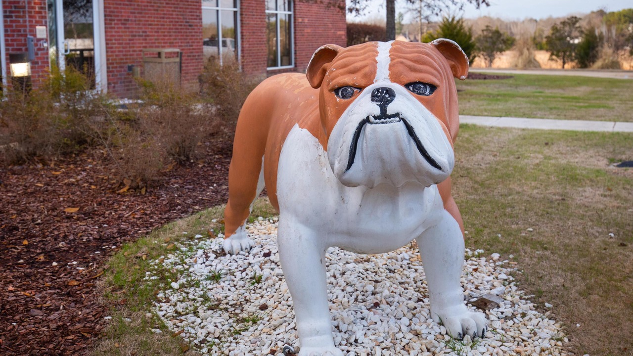 Photo of Outdoor in Starkville