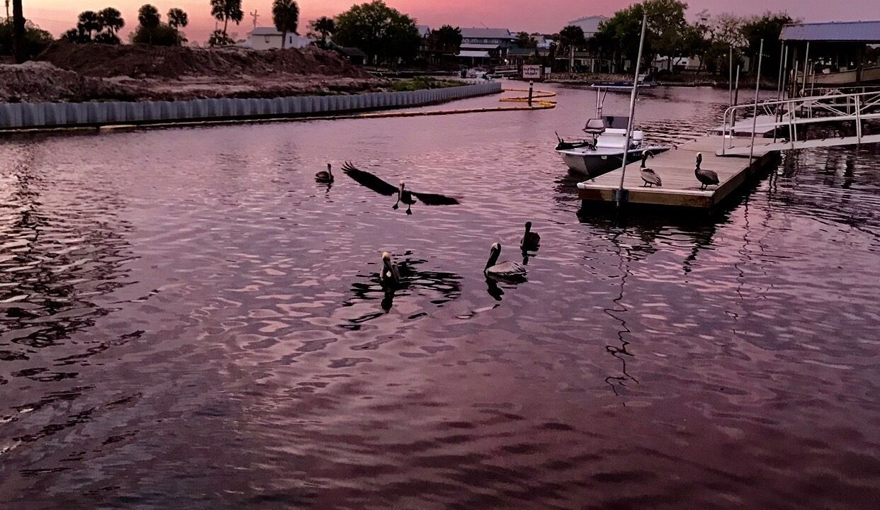 Photo of Outdoor in Keaton Beach