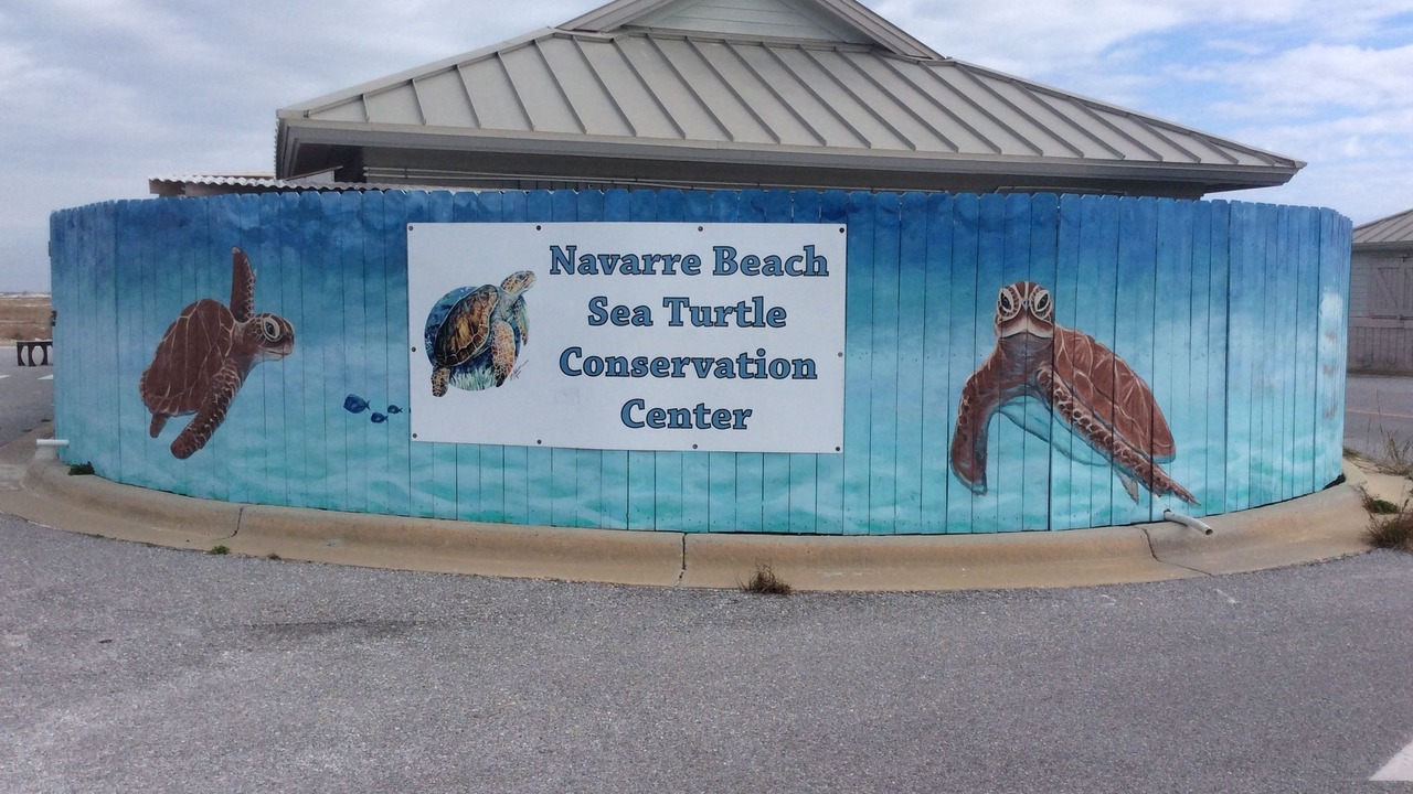 Photo of Others in Navarre Beach